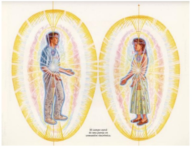 Polaridad en relaciones energéticas